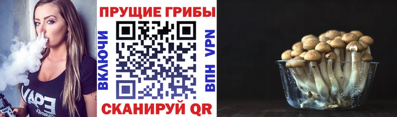 Галлюциногенные грибы ЛСД  Купить  Сертолово 